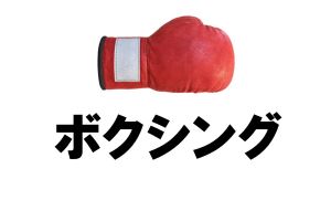 井上尚弥の次戦試合日程、スケジュール、対戦相手